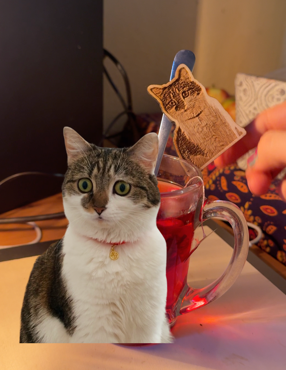 Your Cat - Engraved in Wood! (magnet, keychain)